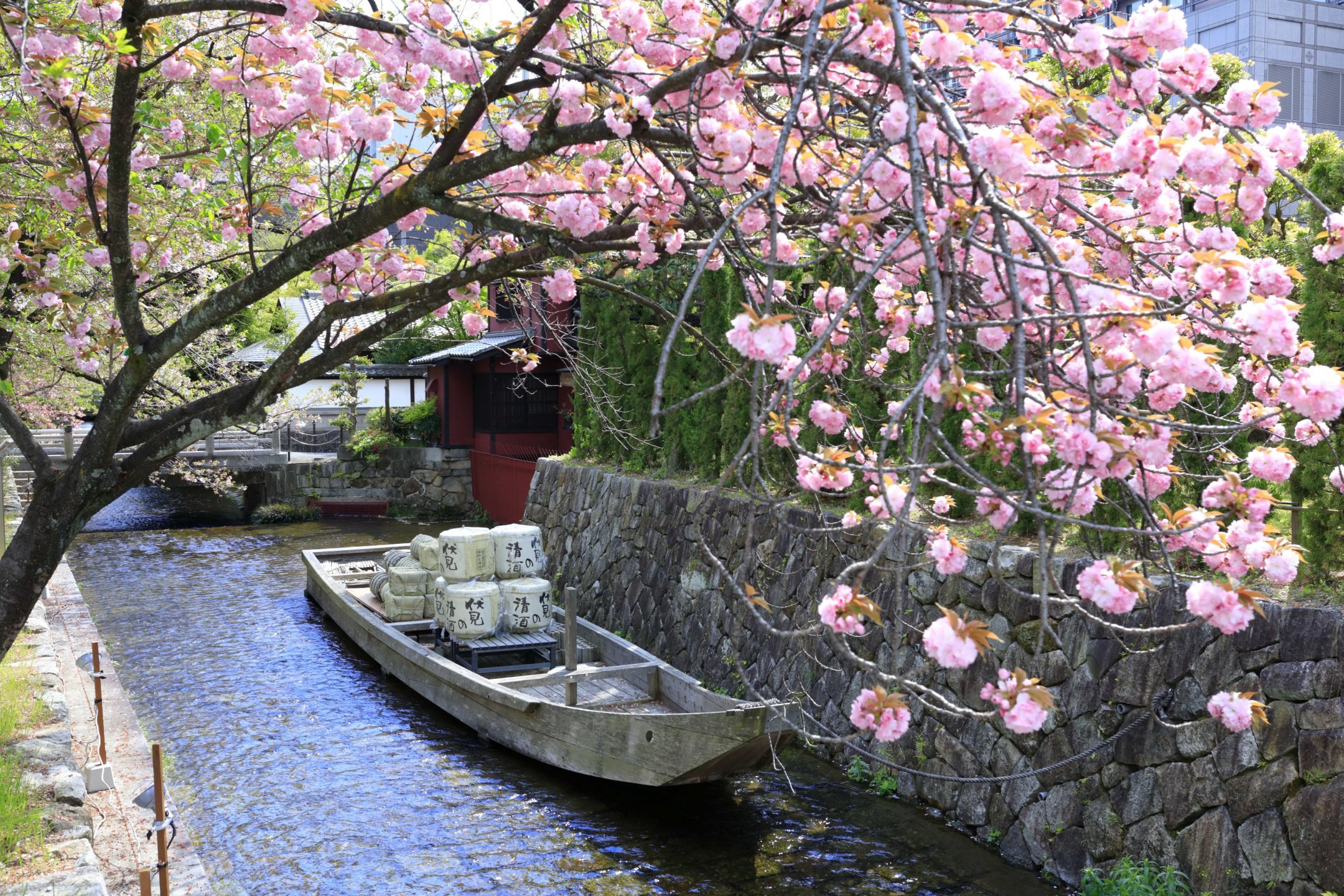 🏛️ 쓰치우라 시립 박물관 (土浦市立博物館) 이미지 7